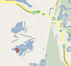 Google Maps